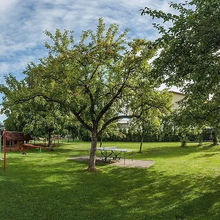 Ferienhaus-richter-fewo-birke Drognitz
